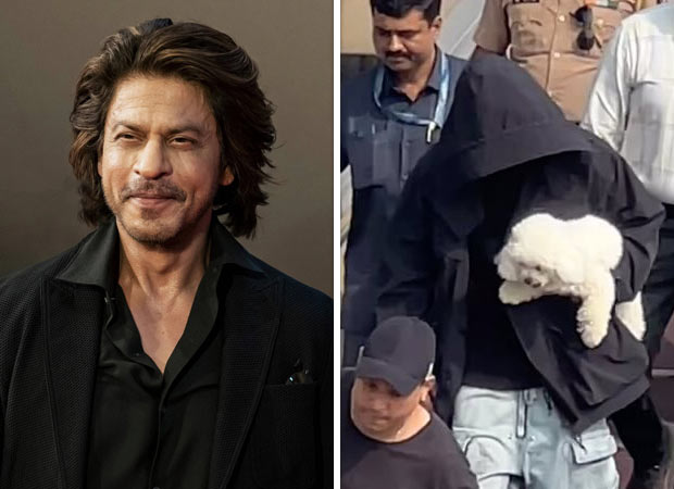 Shah Rukh Khan Gives A Perfect