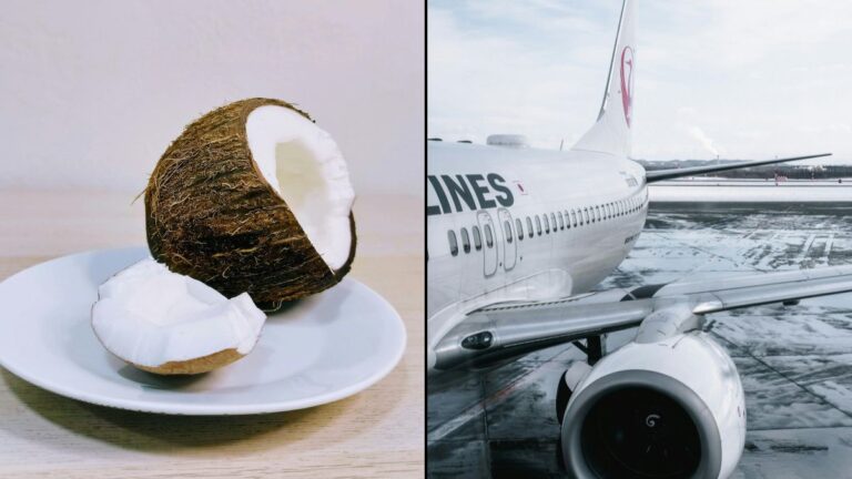 Why Dried Coconuts Are Strictly Prohibited o