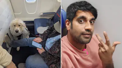 5 Of The Most Bizarre Airline Passenger Complaints That Went Viral: From a Windowless Seat to a Cockroach in an Omelette