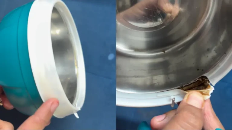 Woman Cuts Open Lunchbox Brought Online To Reveal Black Substance; Internet Reacts