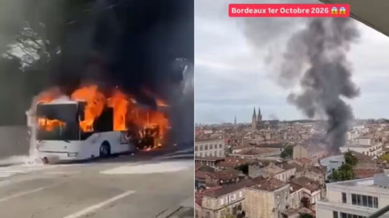 France Student Protests Turn Violent: What Is Behind the Viral Riot Videos?